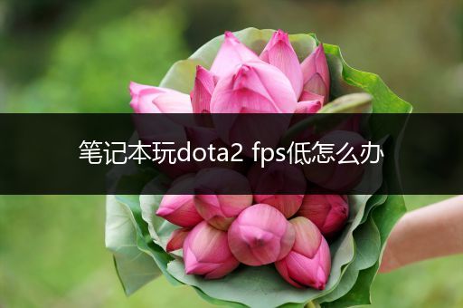 笔记本玩dota2 fps低怎么办