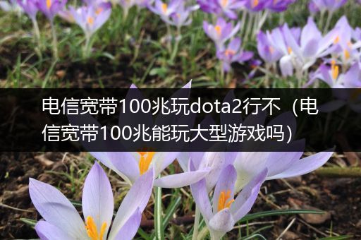 电信宽带100兆玩dota2行不（电信宽带100兆能玩大型游戏吗）