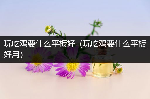 玩吃鸡要什么平板好（玩吃鸡要什么平板好用）