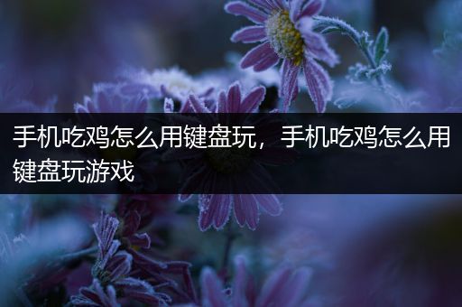 手机吃鸡怎么用键盘玩，手机吃鸡怎么用键盘玩游戏