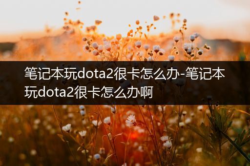 笔记本玩dota2很卡怎么办-笔记本玩dota2很卡怎么办啊