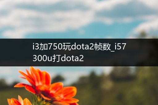 i3加750玩dota2帧数_i57300u打dota2