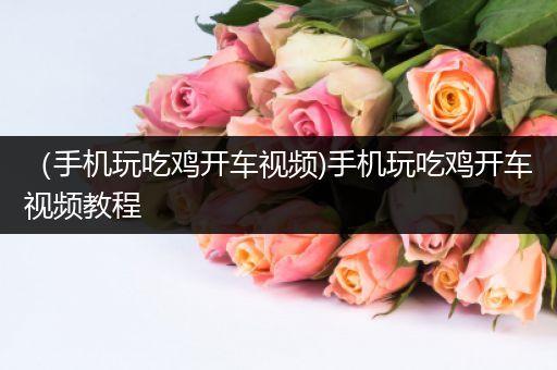 （手机玩吃鸡开车视频)手机玩吃鸡开车视频教程