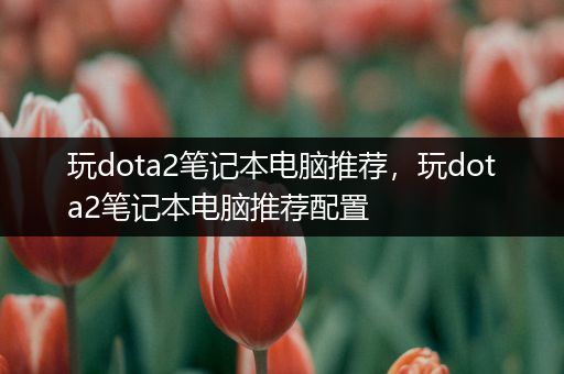 玩dota2笔记本电脑推荐，玩dota2笔记本电脑推荐配置