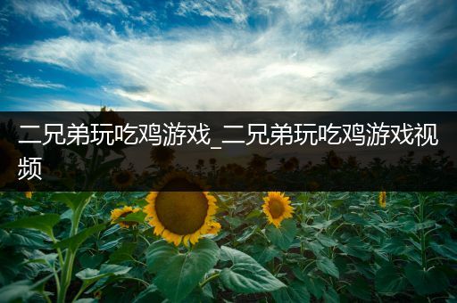 二兄弟玩吃鸡游戏_二兄弟玩吃鸡游戏视频