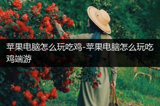 苹果电脑怎么玩吃鸡-苹果电脑怎么玩吃鸡端游