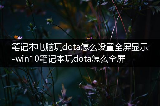 笔记本电脑玩dota怎么设置全屏显示-win10笔记本玩dota怎么全屏