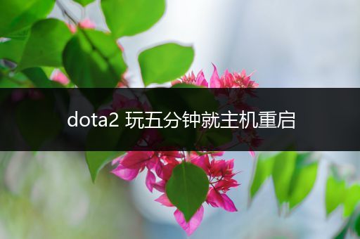 dota2 玩五分钟就主机重启