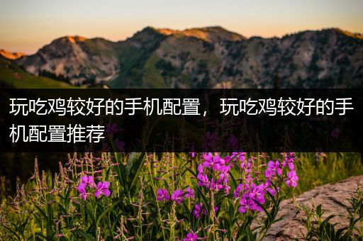玩吃鸡较好的手机配置，玩吃鸡较好的手机配置推荐