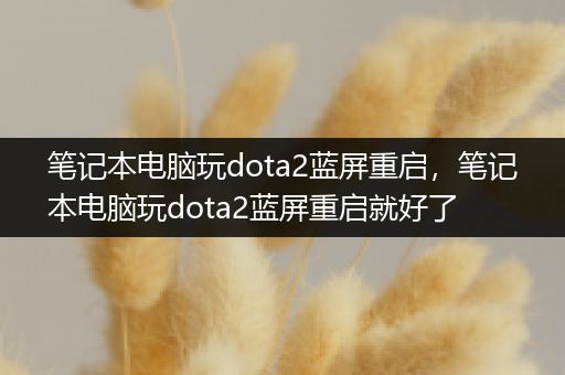 笔记本电脑玩dota2蓝屏重启，笔记本电脑玩dota2蓝屏重启就好了