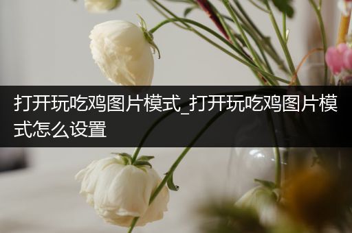 打开玩吃鸡图片模式_打开玩吃鸡图片模式怎么设置