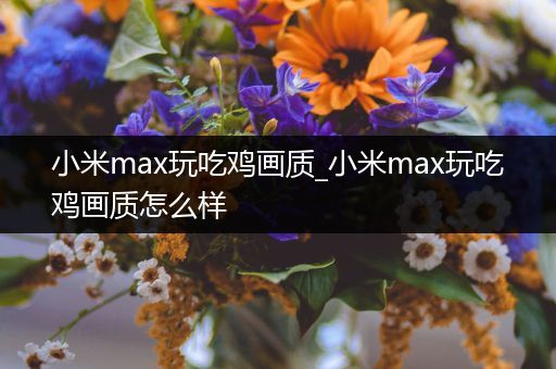 小米max玩吃鸡画质_小米max玩吃鸡画质怎么样