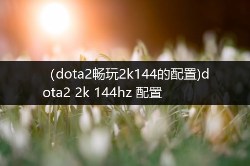 （dota2畅玩2k144的配置)dota2 2k 144hz 配置