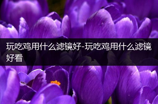 玩吃鸡用什么滤镜好-玩吃鸡用什么滤镜好看