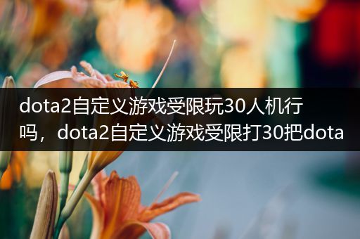 dota2自定义游戏受限玩30人机行吗，dota2自定义游戏受限打30把dota