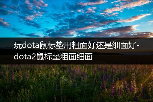 玩dota鼠标垫用粗面好还是细面好-dota2鼠标垫粗面细面