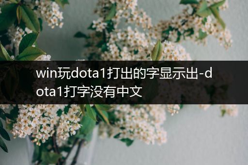 win玩dota1打出的字显示出-dota1打字没有中文