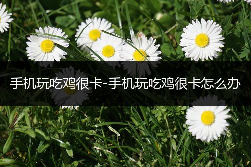 手机玩吃鸡很卡-手机玩吃鸡很卡怎么办