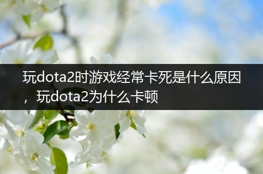 玩dota2时游戏经常卡死是什么原因，玩dota2为什么卡顿