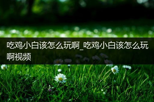 吃鸡小白该怎么玩啊_吃鸡小白该怎么玩啊视频