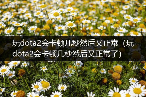 玩dota2会卡顿几秒然后又正常（玩dota2会卡顿几秒然后又正常了）