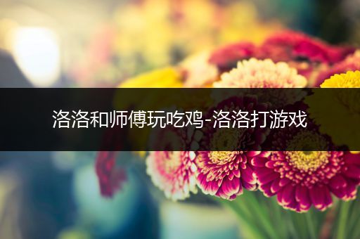 洛洛和师傅玩吃鸡-洛洛打游戏