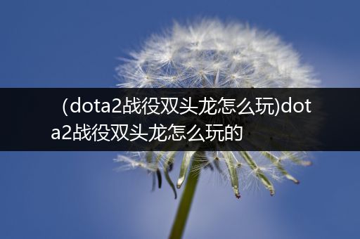 （dota2战役双头龙怎么玩)dota2战役双头龙怎么玩的