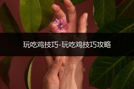 玩吃鸡技巧-玩吃鸡技巧攻略