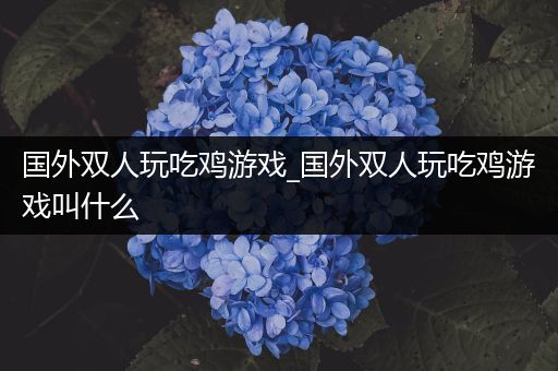 国外双人玩吃鸡游戏_国外双人玩吃鸡游戏叫什么