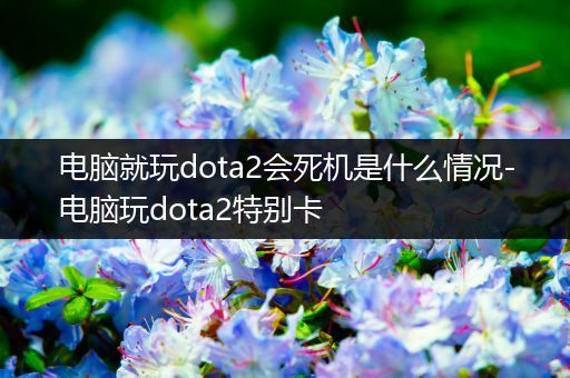 电脑就玩dota2会死机是什么情况-电脑玩dota2特别卡