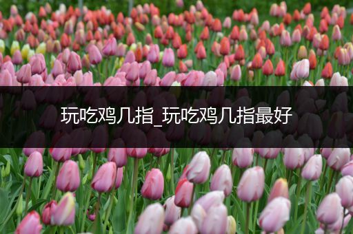 玩吃鸡几指_玩吃鸡几指最好