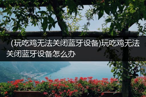（玩吃鸡无法关闭蓝牙设备)玩吃鸡无法关闭蓝牙设备怎么办