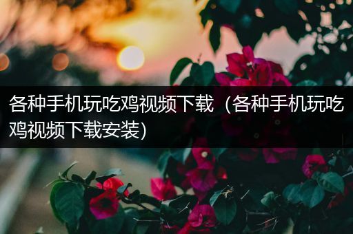 各种手机玩吃鸡视频下载（各种手机玩吃鸡视频下载安装）