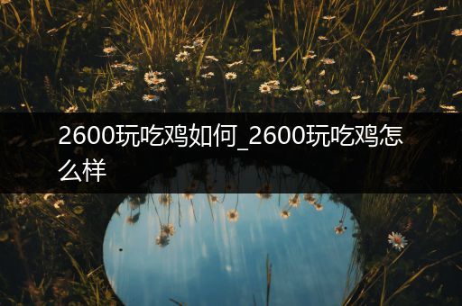 2600玩吃鸡如何_2600玩吃鸡怎么样