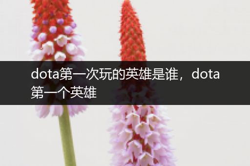 dota第一次玩的英雄是谁，dota第一个英雄