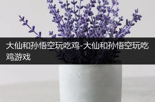 大仙和孙悟空玩吃鸡-大仙和孙悟空玩吃鸡游戏