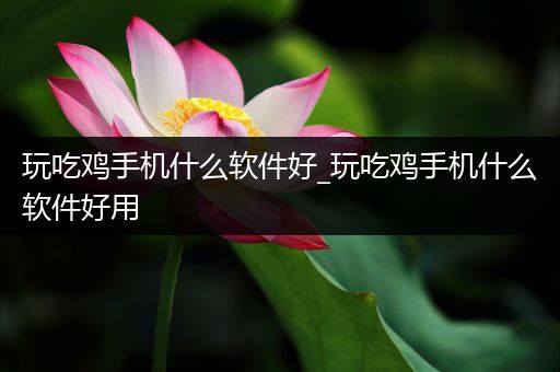 玩吃鸡手机什么软件好_玩吃鸡手机什么软件好用