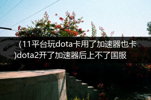 （11平台玩dota卡用了加速器也卡)dota2开了加速器后上不了国服