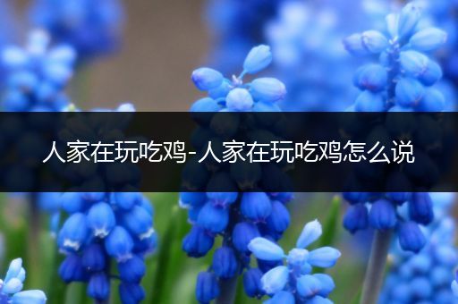人家在玩吃鸡-人家在玩吃鸡怎么说