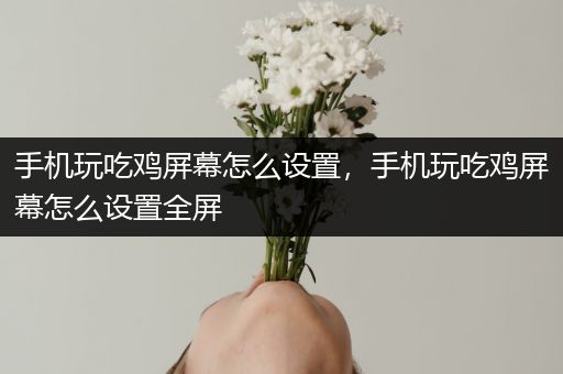 手机玩吃鸡屏幕怎么设置，手机玩吃鸡屏幕怎么设置全屏