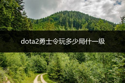 dota2勇士令玩多少局什一级