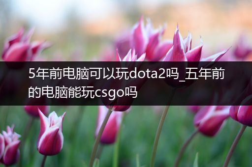 5年前电脑可以玩dota2吗_五年前的电脑能玩csgo吗