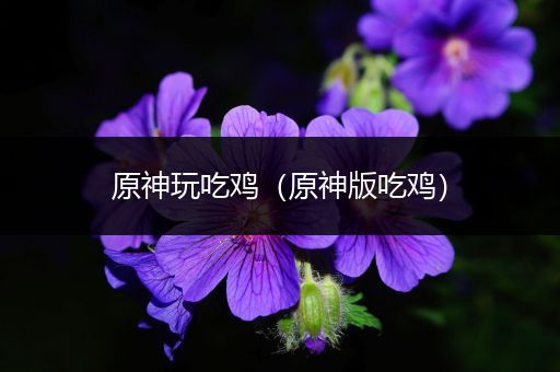原神玩吃鸡（原神版吃鸡）