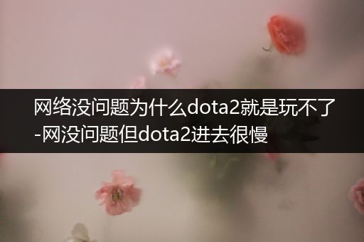 网络没问题为什么dota2就是玩不了-网没问题但dota2进去很慢