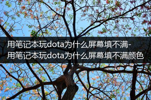 用笔记本玩dota为什么屏幕填不满-用笔记本玩dota为什么屏幕填不满颜色