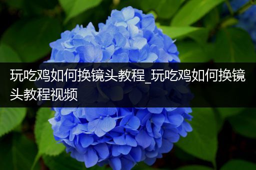 玩吃鸡如何换镜头教程_玩吃鸡如何换镜头教程视频