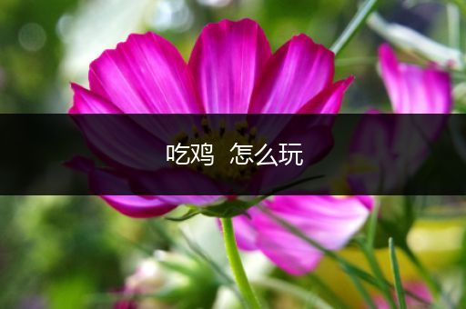 吃鸡  怎么玩