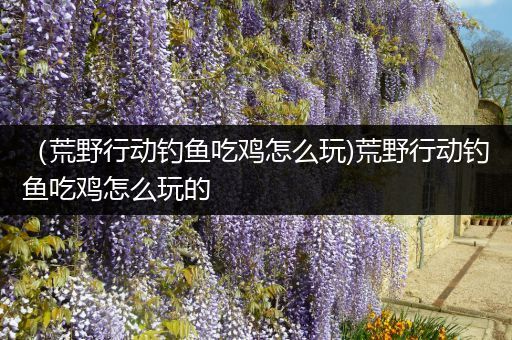 （荒野行动钓鱼吃鸡怎么玩)荒野行动钓鱼吃鸡怎么玩的
