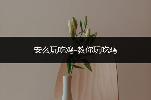 安么玩吃鸡-教你玩吃鸡