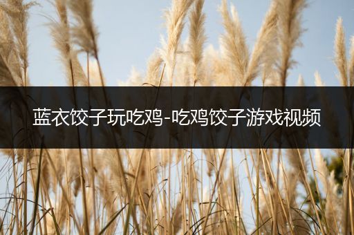 蓝衣饺子玩吃鸡-吃鸡饺子游戏视频
